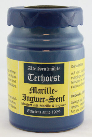 Marille-Ingwer-Senf